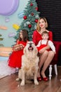 Family photo portrait. Mom and her two children and a white dog in red clothes celebrate the Chistmas, new year. Happy Royalty Free Stock Photo