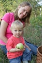 Family picking apples