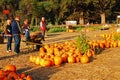 A family picks their pumpkins for Halloween