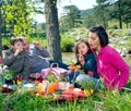 Family picnic Royalty Free Stock Photo