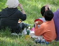 Family picnic Royalty Free Stock Photo