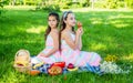 Family picnic. Little girls eat picnic meal on green grass. Summer vacation. Eating outdoors. Enjoy the day with tasty Royalty Free Stock Photo