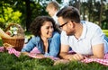 Family picnic outdoors togetherness relaxation happiness concept Royalty Free Stock Photo