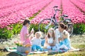 Family picnic at tulip flower field, Holland Royalty Free Stock Photo