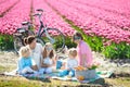 Family picnic at tulip flower field, Holland Royalty Free Stock Photo