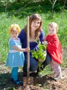 Family planting sprouts