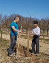 Family planting a tree together Royalty Free Stock Photo