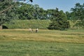 Family playing disk golf in the green field with trees under the clear sky Royalty Free Stock Photo