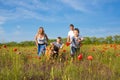 Family playing on the meadow Royalty Free Stock Photo