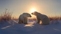 Family of polar bears standing on snow