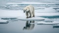 Family of polar bears standing on snow