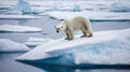 Family of polar bears standing on snow