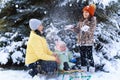 Family portrait in the winter forest, mother and children sitting and playing with snow, beautiful nature with snowy fir trees Royalty Free Stock Photo