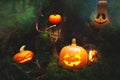 Family of pumpkins jack lantern in the autumn mystical forest