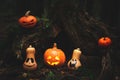 Family of pumpkins jack lantern in the autumn mystical forest