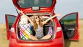Family ready for the travel for summer vacation. Cute happy smiling little girl child is sitting in the red car with luggage ond Royalty Free Stock Photo