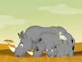 Family of rhino in the savannah Royalty Free Stock Photo