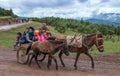 A family riding in carriage Royalty Free Stock Photo