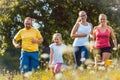 Family running on a meadow for sport Royalty Free Stock Photo