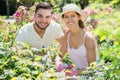 Family seedling garden flowers in gloves Royalty Free Stock Photo