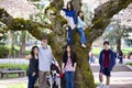 Family of seven by large cherry tree in full bloom Royalty Free Stock Photo