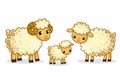 A family of sheep stands. Vector illustration with a ram in cartoon style