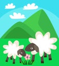 The family of sheep walking in a green meadow on a background of mountains and blue sky with clouds vector illustration Royalty Free Stock Photo