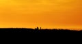 Family silhouette having fun on the beach at the sunset time. Concept of friendly family and of summer vacation Royalty Free Stock Photo