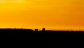 Family silhouette having fun on the beach at the sunset time. Concept of friendly family and of summer vacation Royalty Free Stock Photo