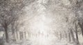 Family silhouette on the road in tree alley, winter background