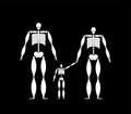 Family skeleton. Dad mom and child. Dead family. Vector illustration