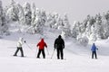 Family Skiing Downhill