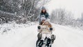 family sledding in winter. outdoor winter activity. Happy, laughing family, woman with 2 daughters are enjoying of Royalty Free Stock Photo