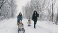 family sledding in winter. outdoor winter activity. Happy, laughing, playful family of 4 is enjoying of sledging their Royalty Free Stock Photo