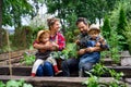 Family with small children gardening on farm, growing organic vegetables.