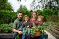 Family with small children gardening on farm, growing organic vegetables.