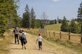 Family with small children hiking outdoors in summer nature, walking in Rogla Royalty Free Stock Photo