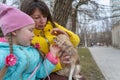 A family with a small dog sitting on a park bench. A child is stroking a small beige dog. A girl with long pigtails. A female