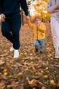 Family with a small son walk in autumn park with fallen fall leaves. Family, childhood, season and people Royalty Free Stock Photo