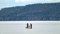 A family with a small toddler and a dog playing on a frozen lake. Royalty Free Stock Photo