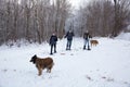 Family snowshoeing with dogs