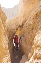 Family spends time actively in the desert Royalty Free Stock Photo