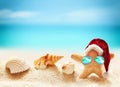 Family of starfish on summer beach and Santa hat. Merry Christmas Royalty Free Stock Photo