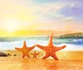 Family starfish on yellow sand near the sea Royalty Free Stock Photo