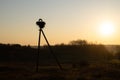 Family of Storks. Large bird`s nest on an electric pole. A pair of big birds. Royalty Free Stock Photo