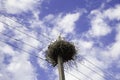 A Family Of Storks In A Large Nest Made Of Twigs And Branches On A Power Pole Against The Cloudy Blue Sky