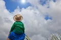 Family in sugar cane plantation Royalty Free Stock Photo