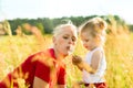 Family summer - blowing dandelion seeds Royalty Free Stock Photo