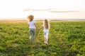 Family, summer and holiday concept - Back view of mother holding her daughter`s hand running towards light