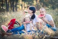 Family on a summer picnic. Watermelon and fruits